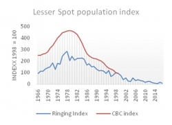 LSW Population chart cbcringing