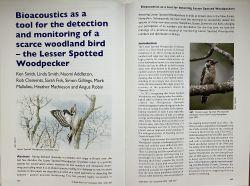 Our paper in British Birds December 2025