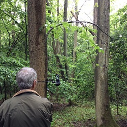 IMG 0422 Gr on Y nest site Wormley 2017 web