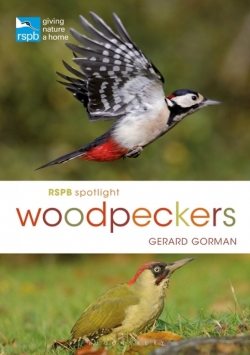 Spotlight Woodpeckers Gorman